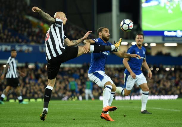 紧追拜仁的 紧追拜仁的