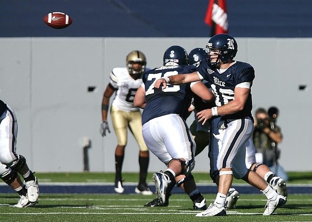 但他们显然 但他们显然